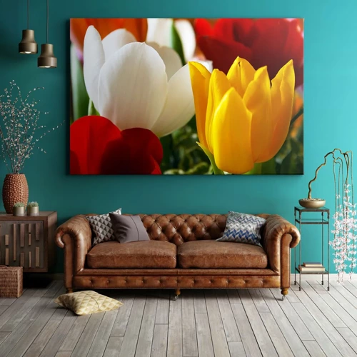 Obraz na plátně - Tulipánová horečka - 70x50 cm