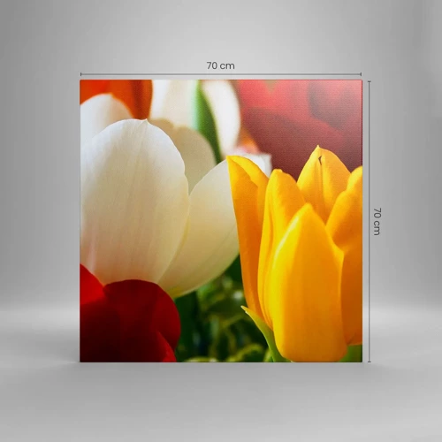 Obraz na plátně - Tulipánová horečka - 70x70 cm
