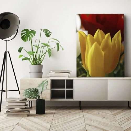 Obraz na plátně - Tulipánová horečka - 80x120 cm