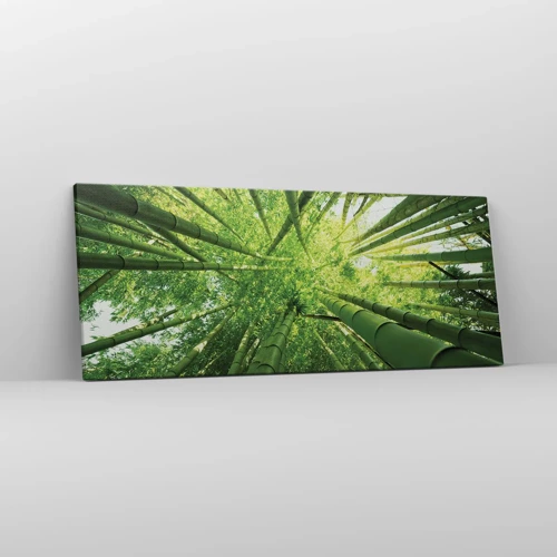 Obraz na plátně - V bambusovém háji - 100x40 cm
