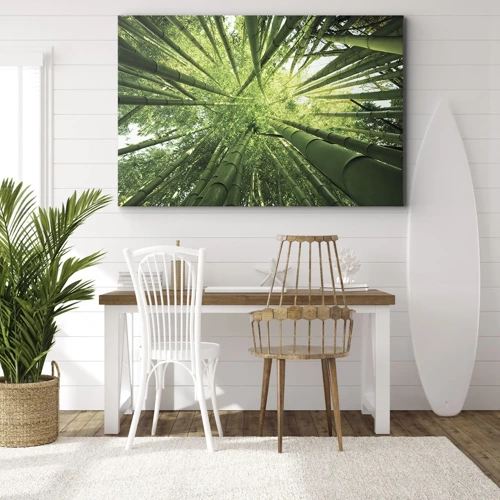 Obraz na plátně - V bambusovém háji - 100x70 cm