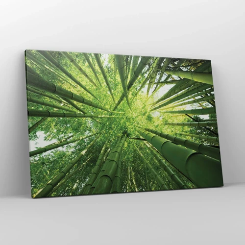 Obraz na plátně - V bambusovém háji - 120x80 cm