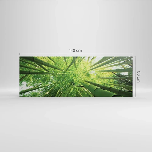 Obraz na plátně - V bambusovém háji - 140x50 cm