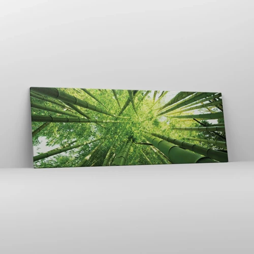 Obraz na plátně - V bambusovém háji - 140x50 cm