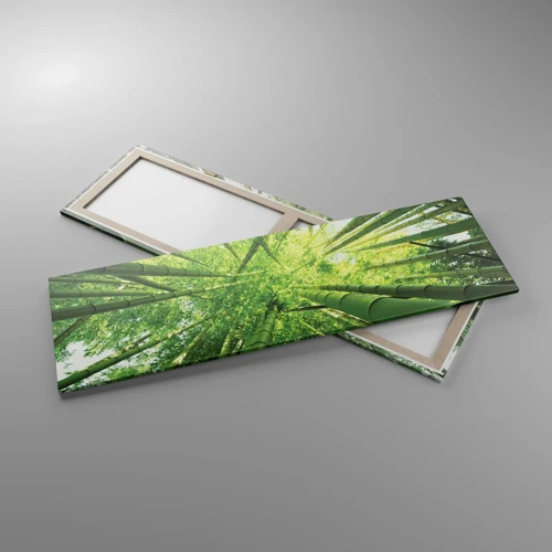 Obraz na plátně - V bambusovém háji - 160x50 cm