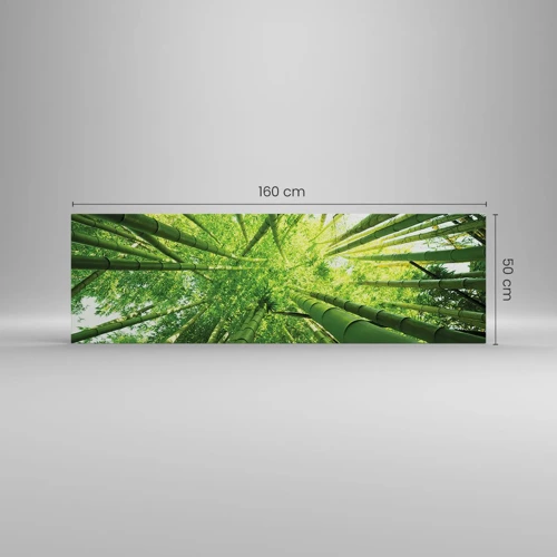 Obraz na plátně - V bambusovém háji - 160x50 cm