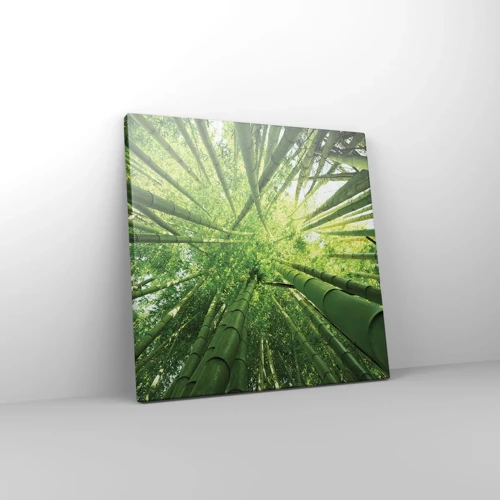 Obraz na plátně - V bambusovém háji - 30x30 cm