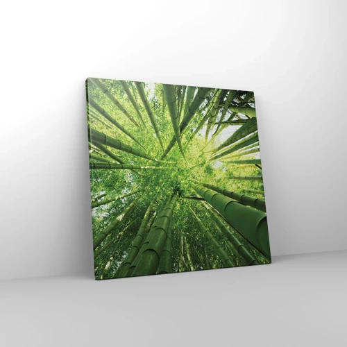 Obraz na plátně - V bambusovém háji - 40x40 cm