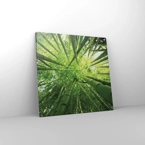 Obraz na plátně - V bambusovém háji - 50x50 cm