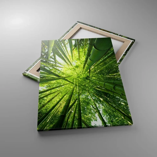 Obraz na plátně - V bambusovém háji - 50x70 cm