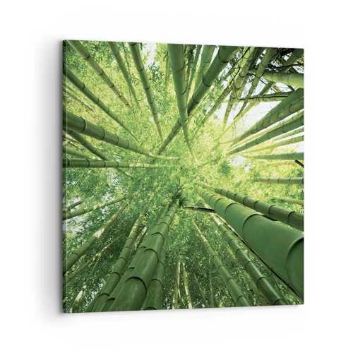 Obraz na plátně - V bambusovém háji - 60x60 cm
