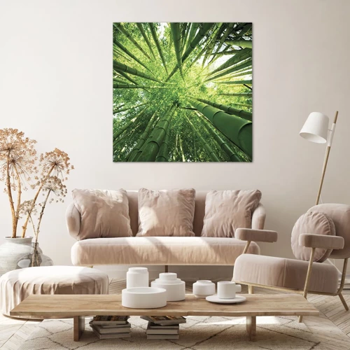 Obraz na plátně - V bambusovém háji - 60x60 cm