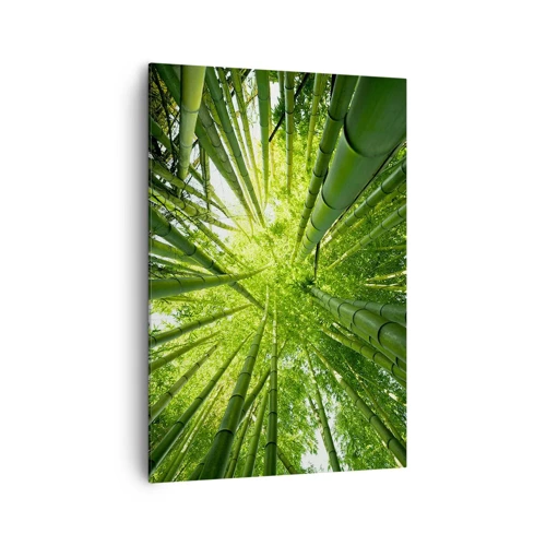 Obraz na plátně - V bambusovém háji - 70x100 cm
