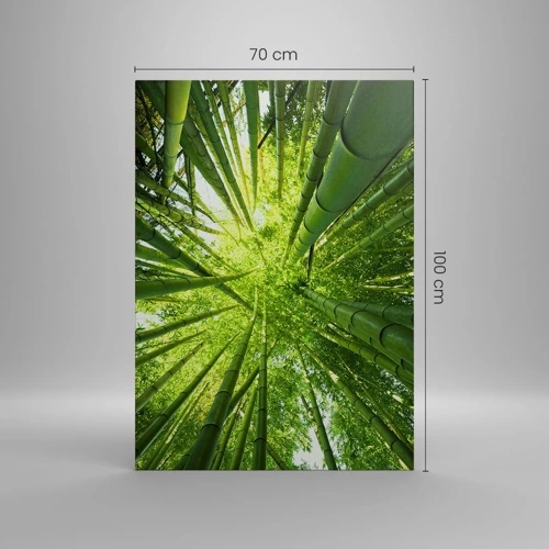 Obraz na plátně - V bambusovém háji - 70x100 cm