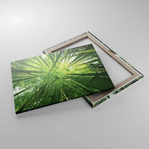 Obraz na plátně - V bambusovém háji - 70x50 cm