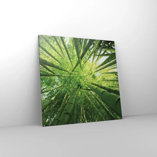 Obraz na plátně - V bambusovém háji - 70x70 cm