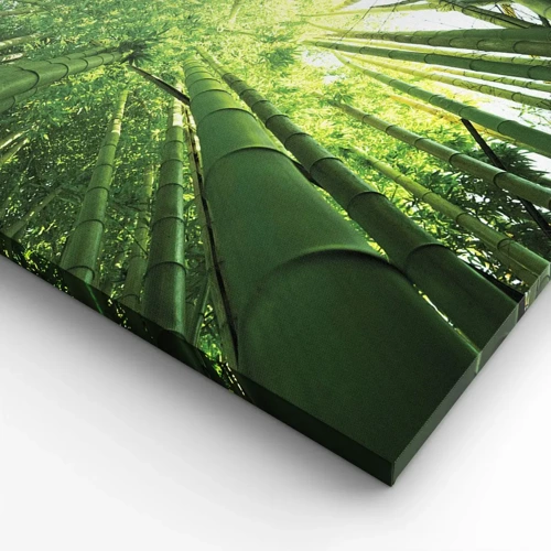 Obraz na plátně - V bambusovém háji - 90x30 cm