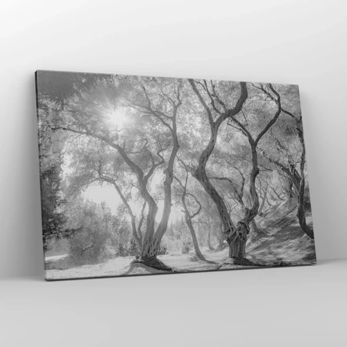 Obraz na plátně - V olivovém háji - 120x80 cm