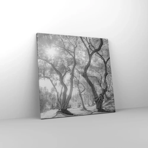 Obraz na plátně - V olivovém háji - 60x60 cm