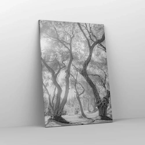 Obraz na plátně - V olivovém háji - 70x100 cm