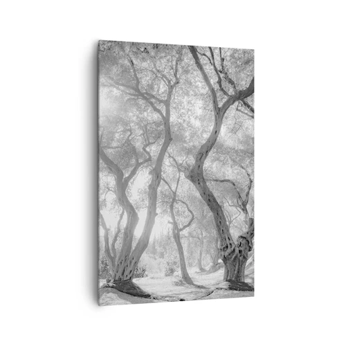 Obraz na plátně - V olivovém háji - 80x120 cm