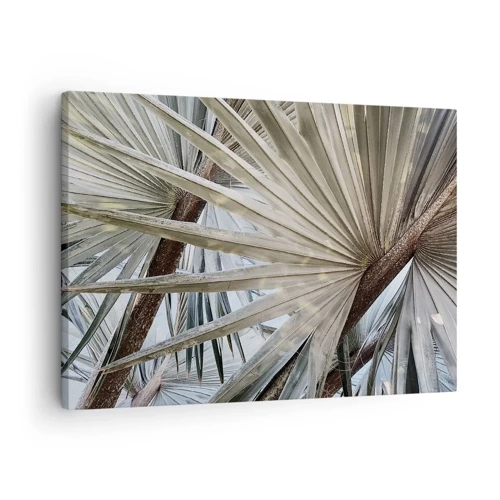 Obraz na plátně - Vějíře v tropech - 70x50 cm