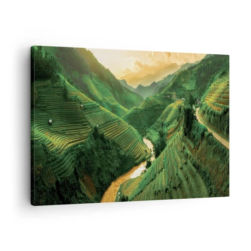 Obraz na plátně - Vietnamské údolí - 70x50 cm