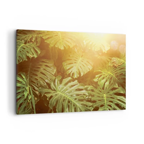 Obraz na plátně - Vstoupit do zeleně… - 100x70 cm