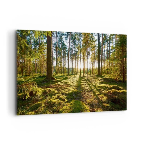 Obraz na plátně - …Za sedmero lesy - 120x80 cm