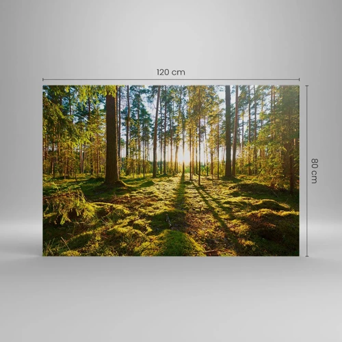 Obraz na plátně - …Za sedmero lesy - 120x80 cm