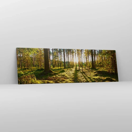 Obraz na plátně - …Za sedmero lesy - 160x50 cm