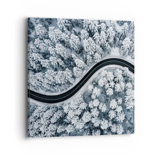 Obraz na plátně - Zimním lesem - 40x40 cm