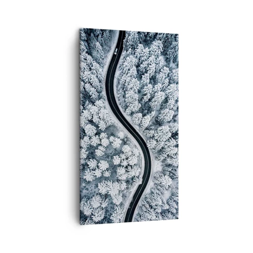 Obraz na plátně - Zimním lesem - 45x80 cm