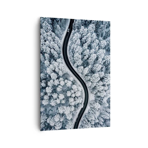 Obraz na plátně - Zimním lesem - 70x100 cm