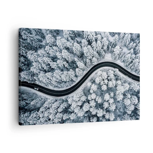 Obraz na plátně - Zimním lesem - 70x50 cm