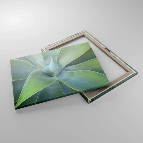 Obraz na plátně - Zrození zeleně - 70x50 cm
