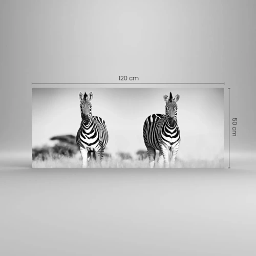Obraz na skle - A přesto je svět černo-bílý - 120x50 cm