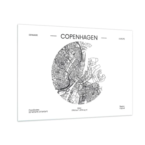 Obraz na skle - Anatomie Kodaně - 70x50 cm