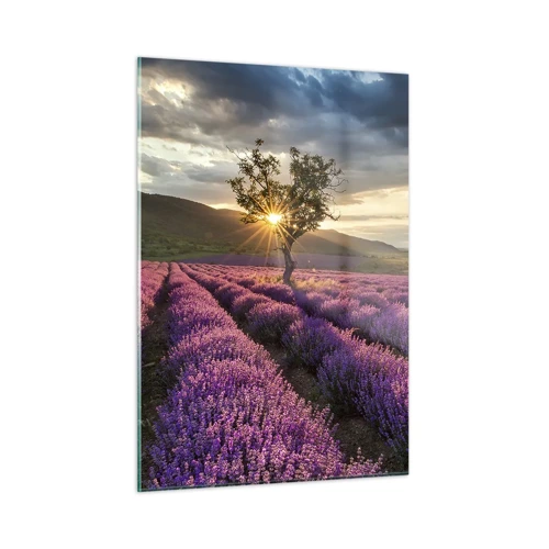Obraz na skle - Aroma v barvě lila - 50x70 cm