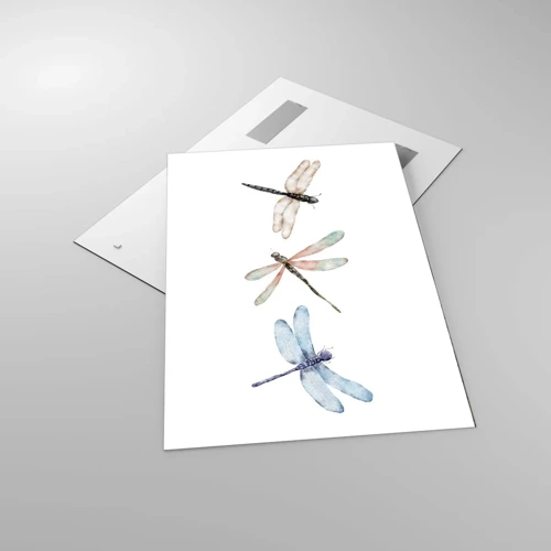 Obraz na skle - Beztížné vážky - 70x100 cm