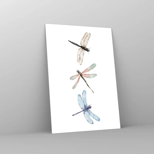Obraz na skle - Beztížné vážky - 70x100 cm
