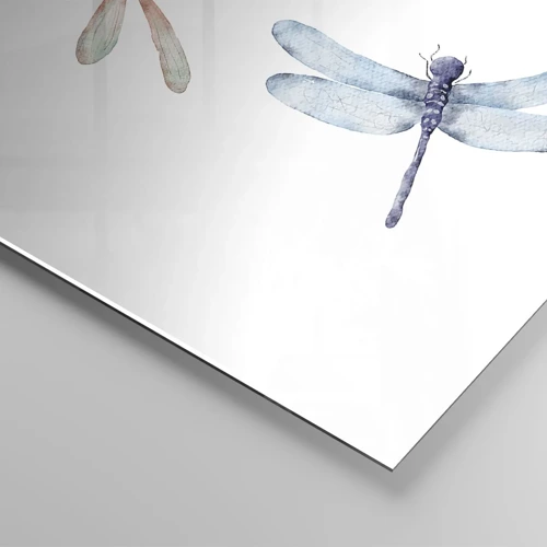 Obraz na skle - Beztížné vážky - 70x50 cm