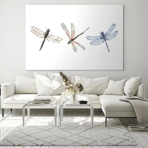 Obraz na skle - Beztížné vážky - 70x50 cm