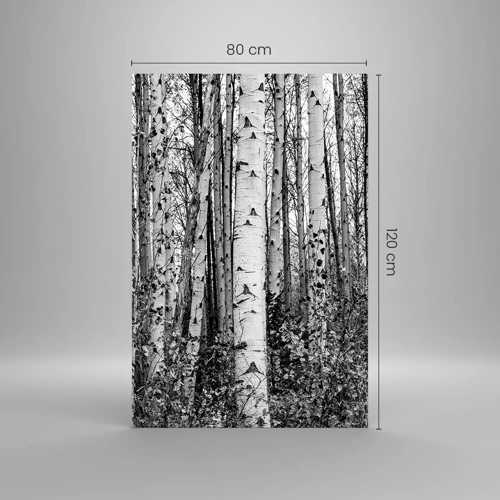 Obraz na skle - Březová kolonáda - 80x120 cm
