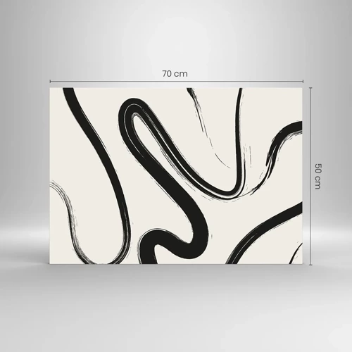 Obraz na skle - Černobílý rozmar - 70x50 cm