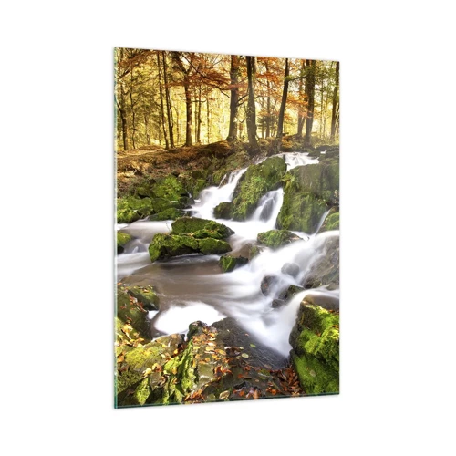 Obraz na skle - Chvatem podzimním lesem - 50x70 cm