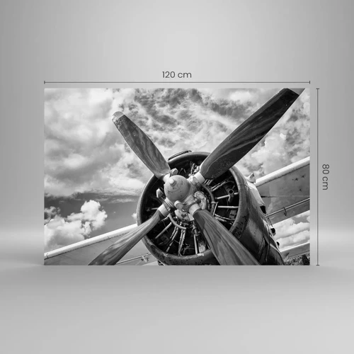 Obraz na skle - Dobyvatel oblohy - 120x80 cm