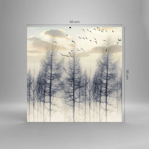 Obraz na skle - Duchové lesa - 50x50 cm