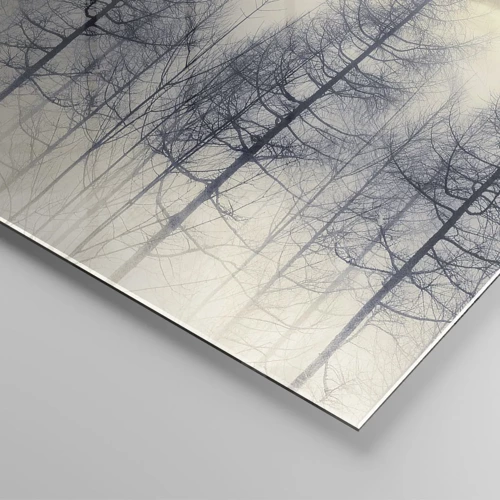 Obraz na skle - Duchové lesa - 50x50 cm