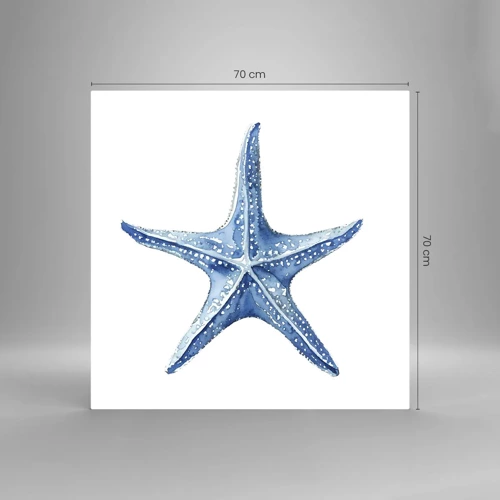 Obraz na skle - Hvězda moře - 70x70 cm